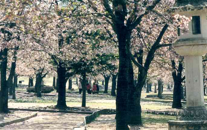 Bulguksa