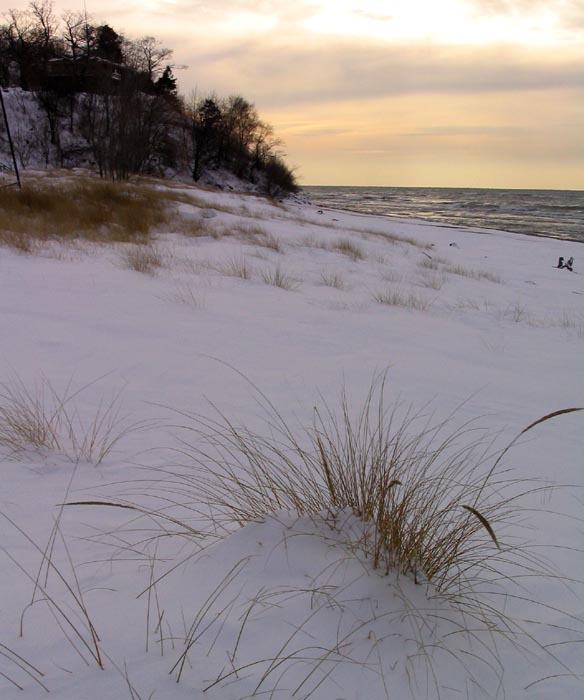 Snowy Shore